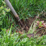 A corroded transmission tower structural guy wire