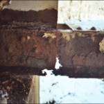 Stray current corroded structural steel
